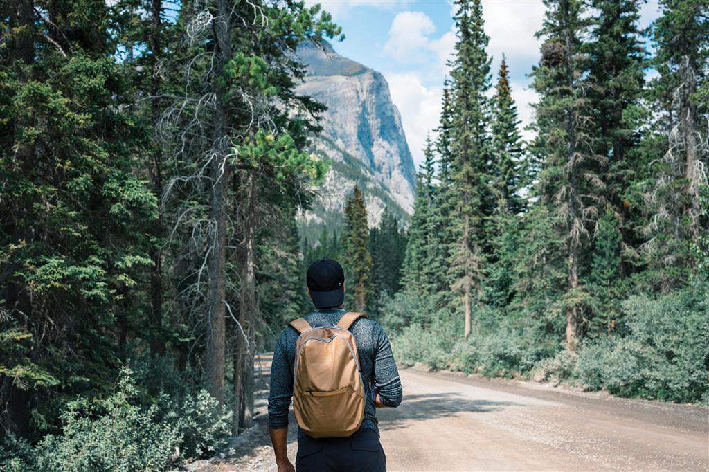 Impact AWARE™ 1200D 15.6'' Modern Laptop Backpack