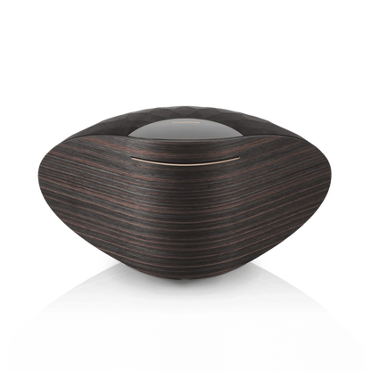 Bowers & Wilkins Formation Wedge Bluetooth Speaker
