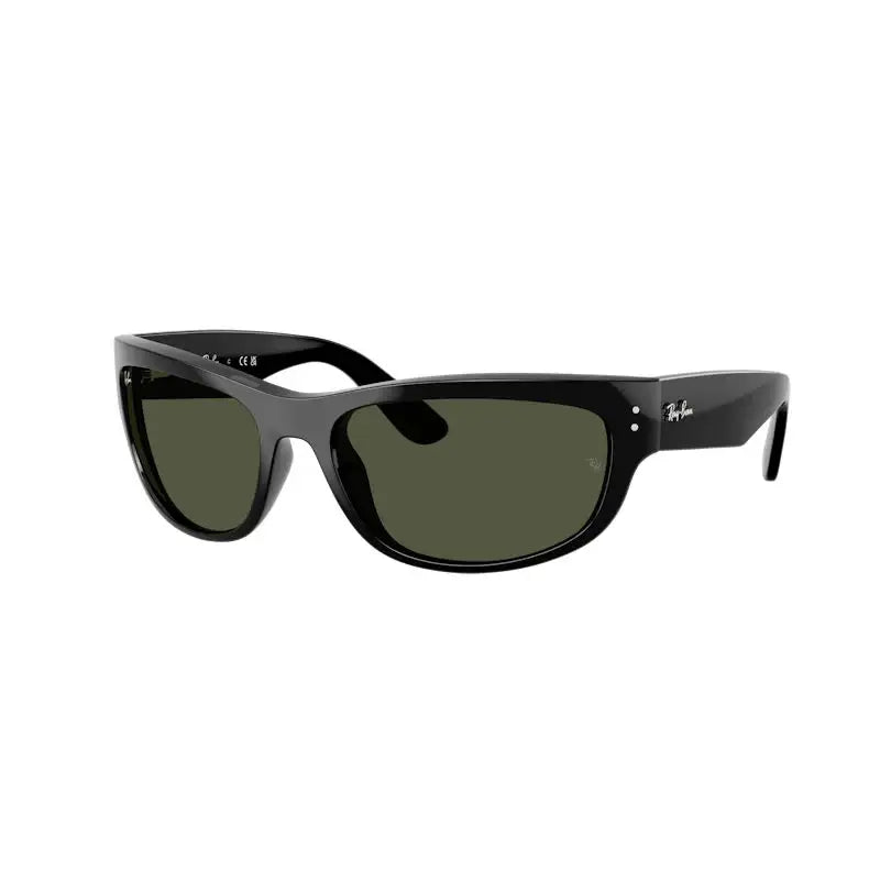 Ray-Ban Mega Balorama Unisex Sunglasses Black