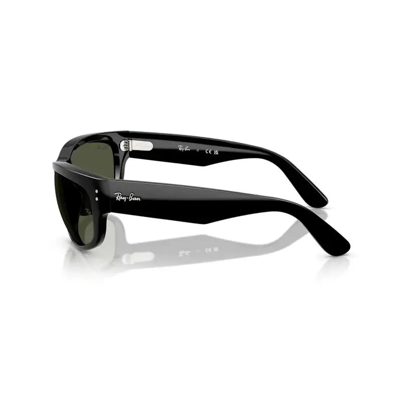 Ray-Ban Mega Balorama Unisex Sunglasses Black