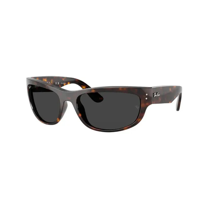 Ray-Ban Mega Balorama Unisex Sunglasses Havana