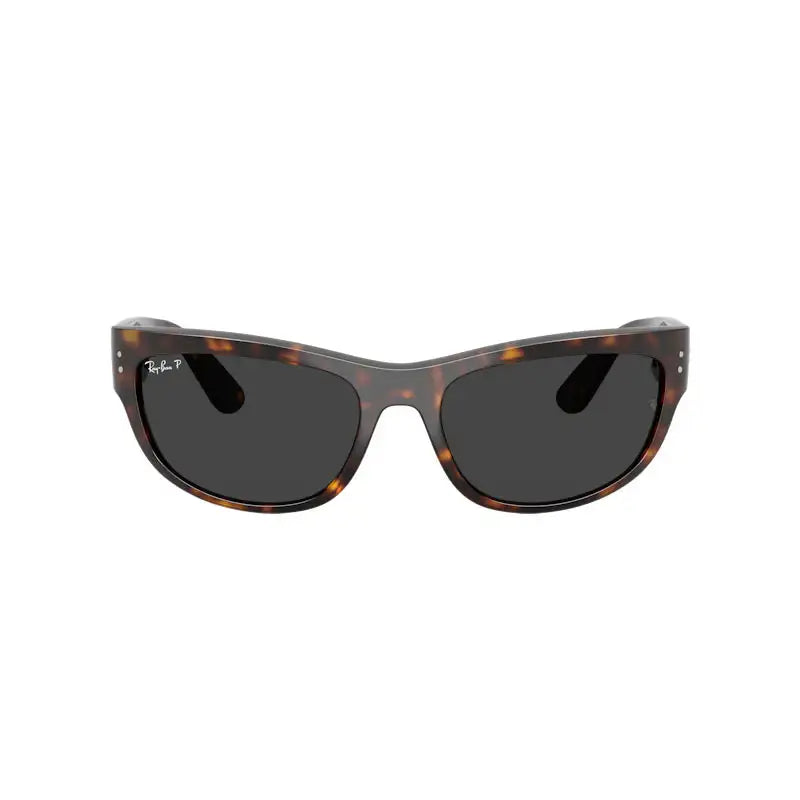 Ray-Ban Mega Balorama Unisex Sunglasses Havana