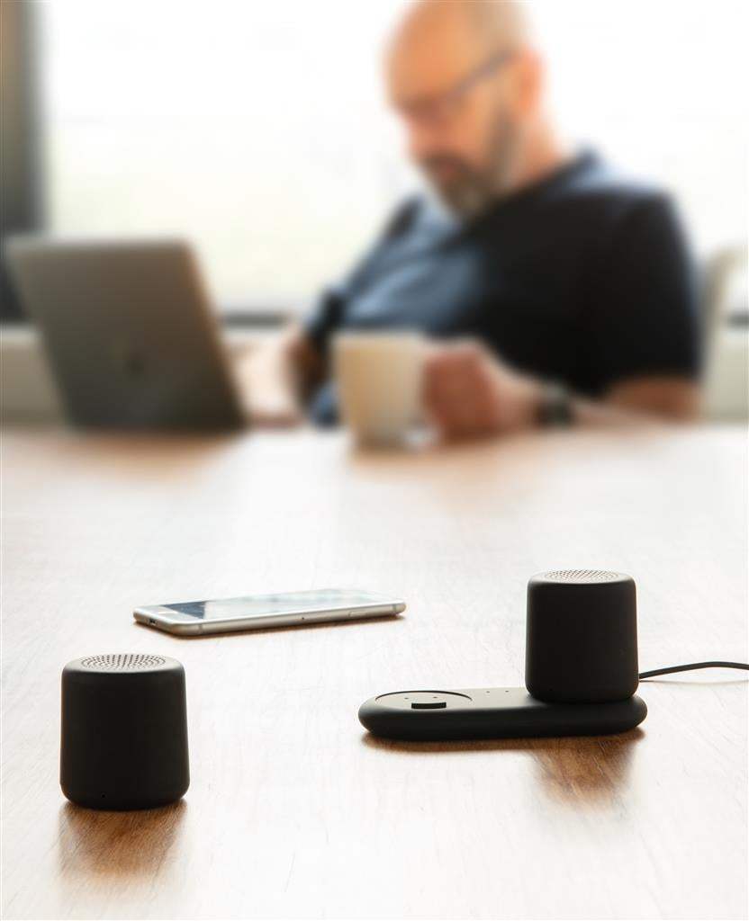 Double Induction Charging Speaker
