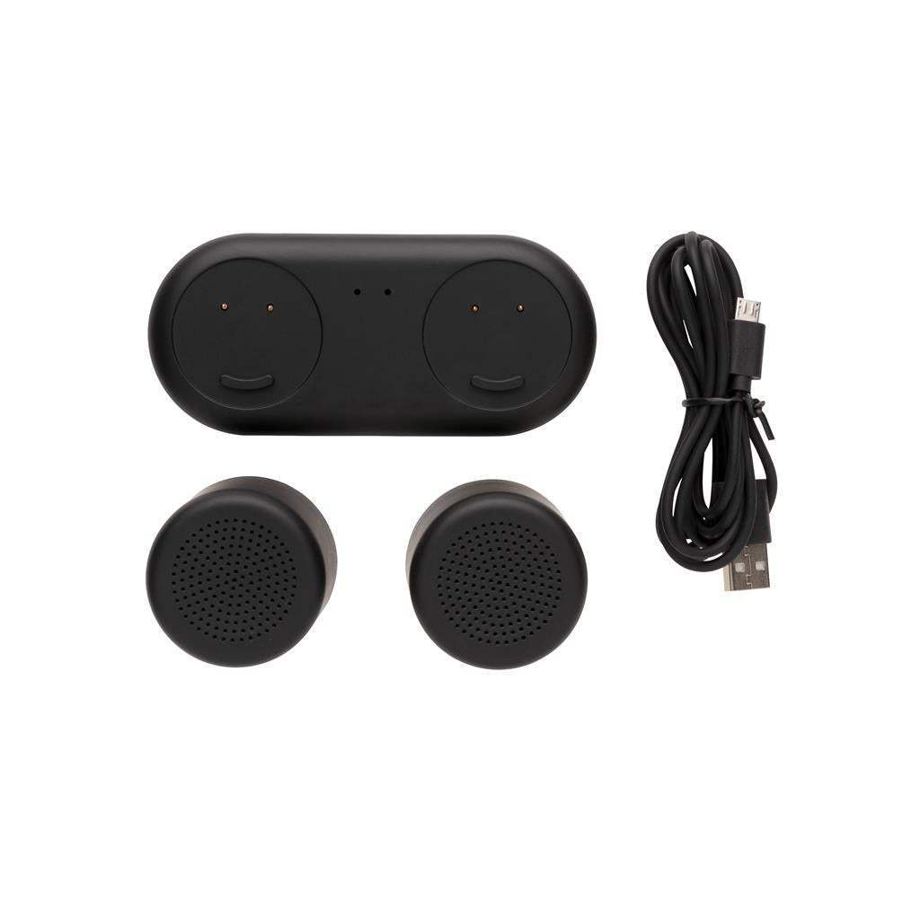 Double Induction Charging Speaker