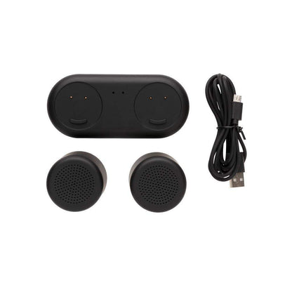 Double Induction Charging Speaker