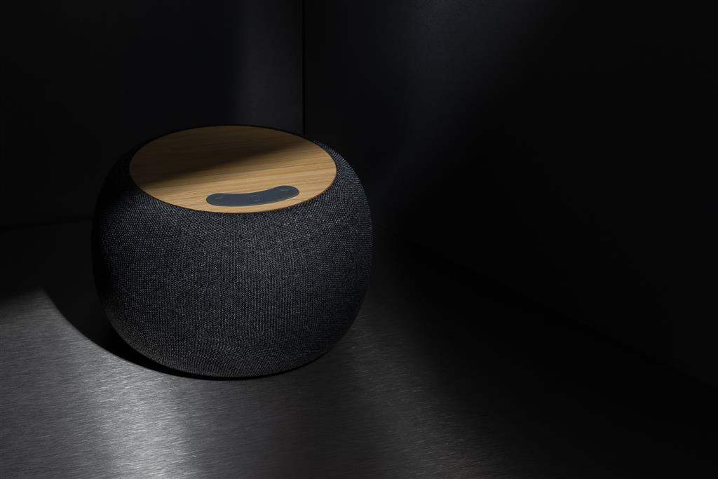 RCS Rplastic PET and Bamboo 5W Speaker